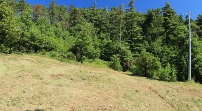 Terreno di 10.213 m² in Lisciano Niccone (06060)