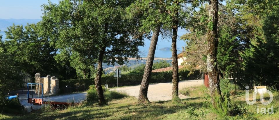 Land of 10,213 m² in Lisciano Niccone (06060)