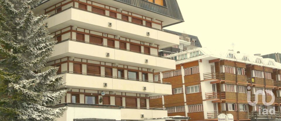 Three-room apartment of 67 m² in Sestriere (10058)