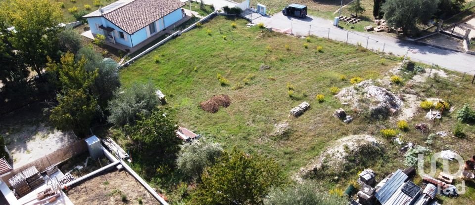 Land of 1,900 m² in Osimo (60027)