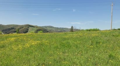 Building plot of 35,000 m² in Apecchio (61042)