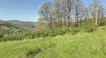 Building plot of 35,000 m² in Apecchio (61042)