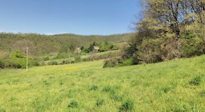 Building plot of 35,000 m² in Apecchio (61042)