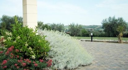 Casa indipendente / Villa 11 locali di 395 m² in Nereto (64015)