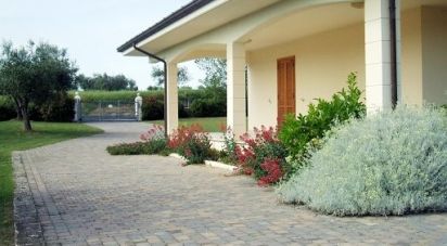 Casa indipendente / Villa 11 locali di 395 m² in Nereto (64015)