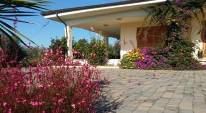 Casa indipendente / Villa 11 locali di 395 m² in Nereto (64015)