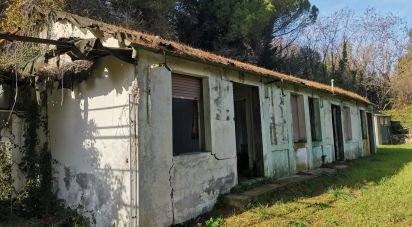 Casa indipendente / Villa 0 locali di 300 m² in Pesaro (61121)
