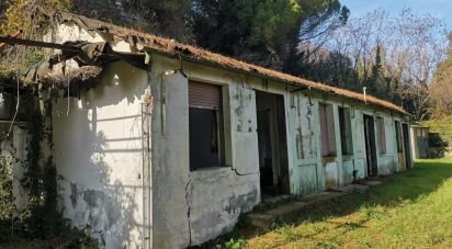 Casa 0 locali di 300 m² in Pesaro (61121)