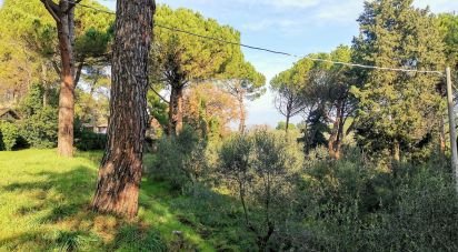 Casa indipendente / Villa 0 locali di 300 m² in Pesaro (61121)