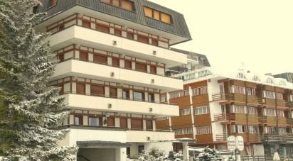 Three-room apartment of 67 sq m in Sestriere (10058)