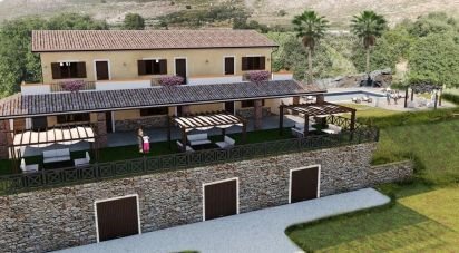 Terreno di 8.120 m² in Maierà (87020)