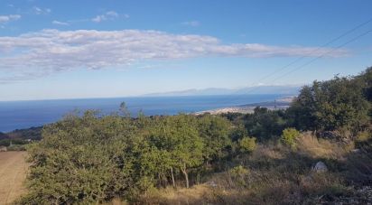 Terreno di 8.120 m² in Maierà (87020)