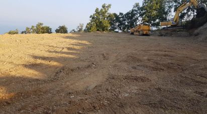Terreno di 8.120 m² in Maierà (87020)