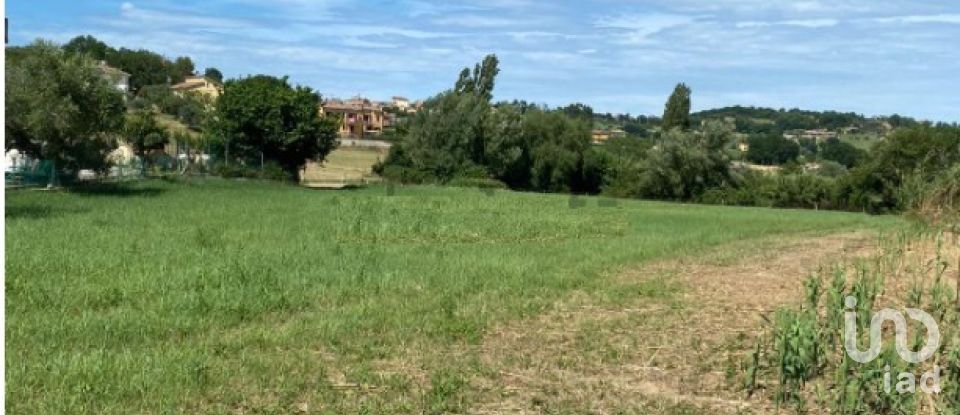 Agricultural land of 2,838 m² in Castelfidardo (60022)