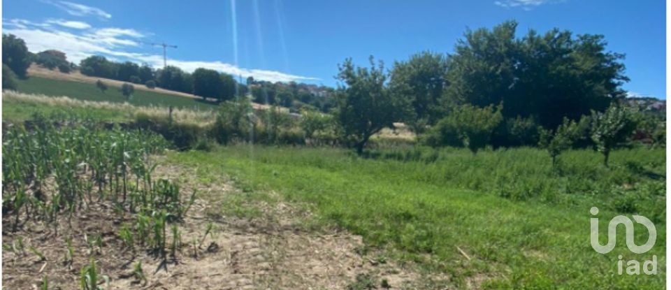 Agricultural land of 2,838 sq m in Castelfidardo (60022)
