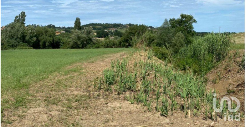 Agricultural land of 2,838 m² in Castelfidardo (60022)