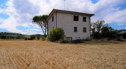 Casa indipendente / Villa 6 locali di 350 m² in San Paolo di Jesi (60038)