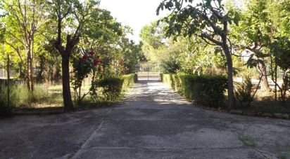 Villa a schiera 9 locali di 160 m² in Pescara (65129)