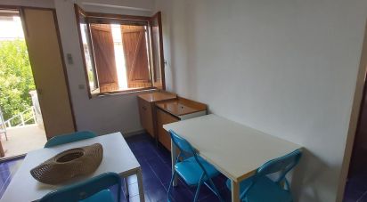 Trilocale di 48 m² a Nocera Terinese (88040)