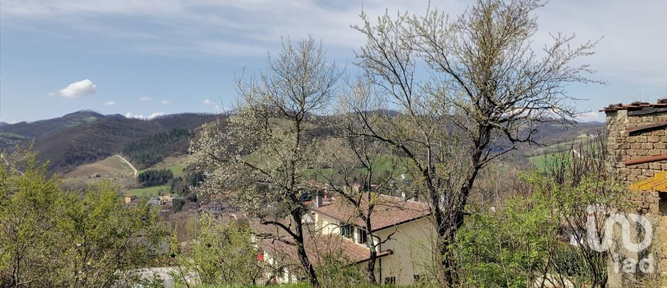 Rustico 0 locali di 300 m² in Apecchio (61042)