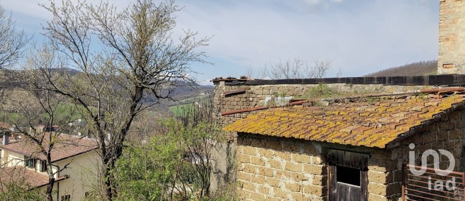 Rustico 0 locali di 300 m² in Apecchio (61042)
