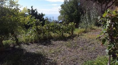 Block of flats 4 rooms of 80 m² in - (87030)