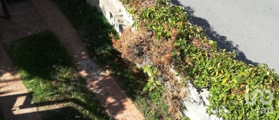 Traditional house 7 rooms of 155 m² in Amantea (87032)