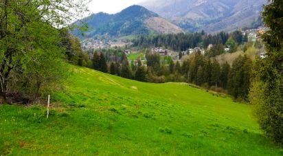 Terreno di 65.550 m² in Castione della Presolana (24020)
