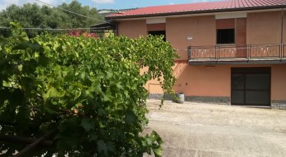 House/villa 13 rooms of 800 sq m in San Calogero (89842)