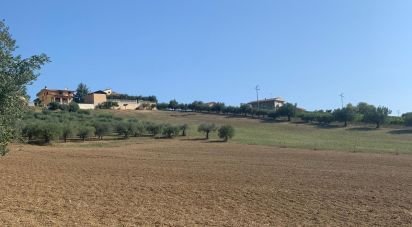 Land of 16,900 m² in Controguerra (64010)
