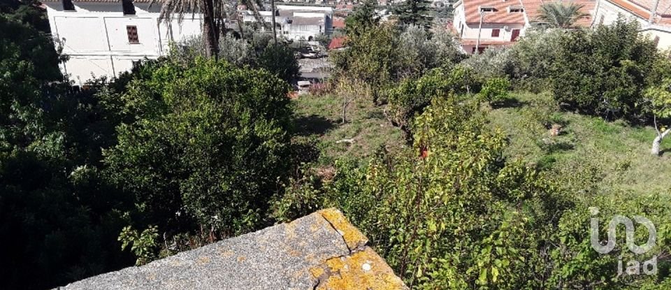 Casa di paese 6 locali di 320 m² in - (87030)