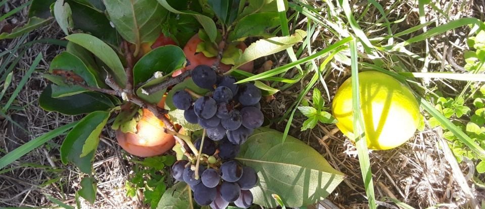 Casa di paese 6 locali di 320 m² in - (87030)