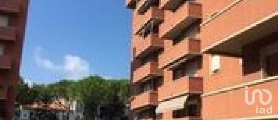 Three-room apartment of 79 sq m in Livorno (57124)