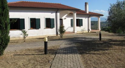 House/villa 12 rooms of 330 sq m in Collecorvino (65010)