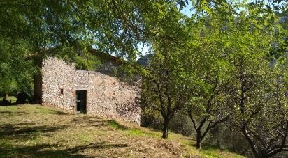 Country house 8 rooms of 210 sq m in Borgo a Mozzano (55023)