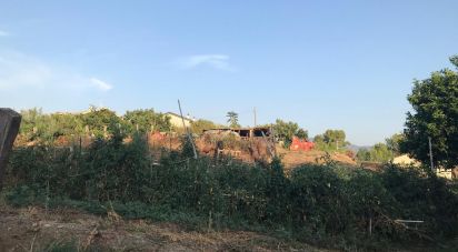 Terreno edificabile di 3.400 m² in Amantea (87032)