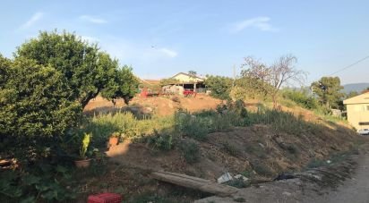 Terreno edificabile di 3.400 m² in Amantea (87032)