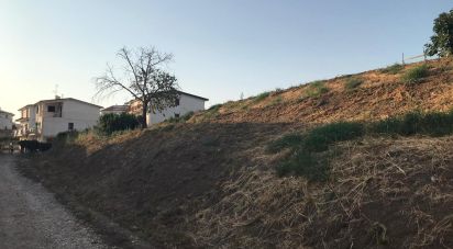 Terreno edificabile di 3.400 m² in Amantea (87032)