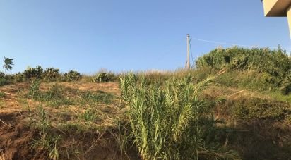 Terreno edificabile di 3.400 m² in Amantea (87032)