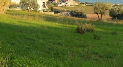 Terreno di 2.790 m² in Tortoreto (64018)