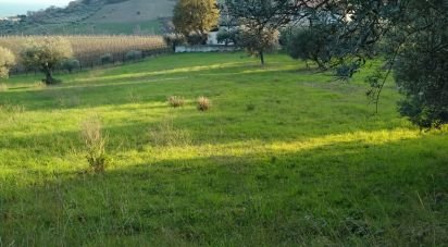Terreno di 2.790 m² in Tortoreto (64018)