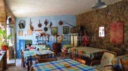 Restaurant of 0 m² in Barano d'Ischia (80072)