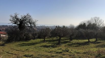 Terreno di 1.947 m² in Tortoreto (64018)