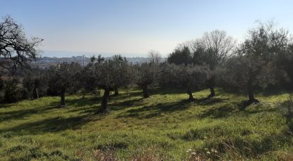 Terreno di 1.947 m² in Tortoreto (64018)