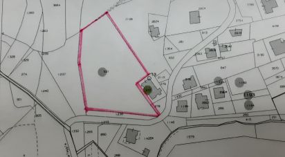 Terreno di 6.440 m² in Tortoreto (64018)