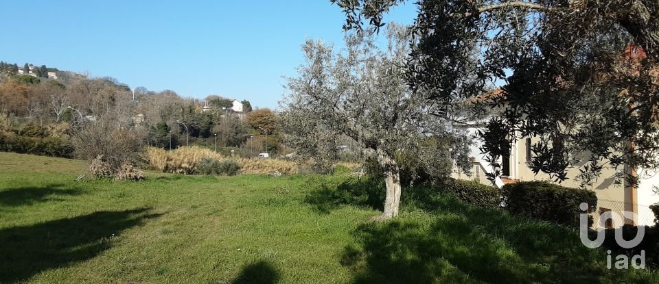 Land of 6,440 m² in Tortoreto (64018)