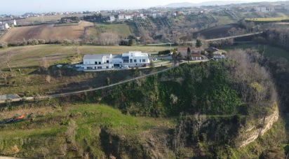 Land of 10,000 m² in Sant'Elpidio a Mare (63811)