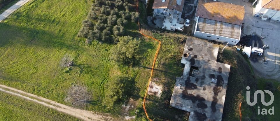 Terreno di 10.000 m² in Sant'Elpidio a Mare (63811)