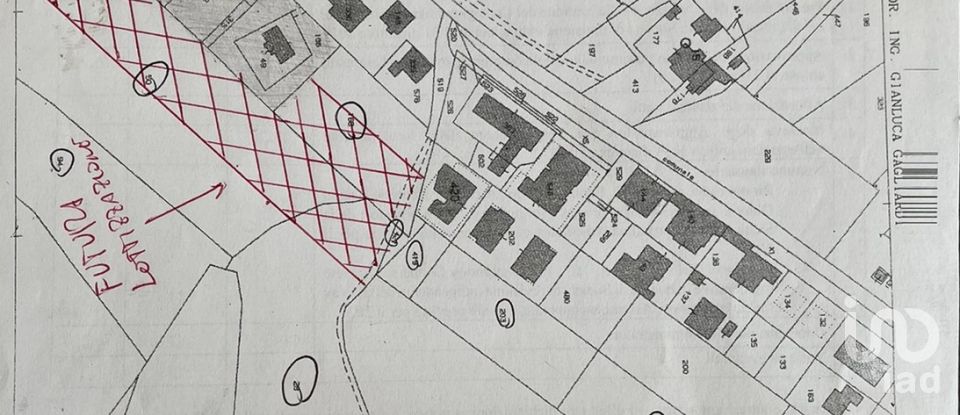 Land of 10,000 sq m in Sant'Elpidio a Mare (63811)