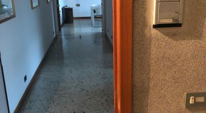 Studio 3 locali di 100 m² a Montesilvano (65015)